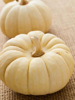 Small white pumpkins on burlap fabric.