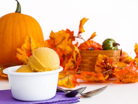 Scoop of gourmet pumpkin gelato in white bowl.