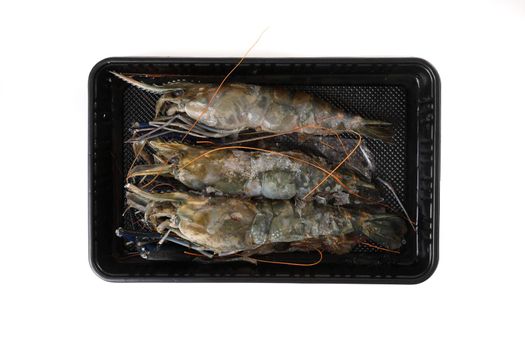 Raw prawn isolated in white baackground