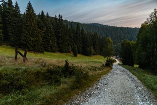 Long mountain trail in Golden Mountains at sunny cloudy morning