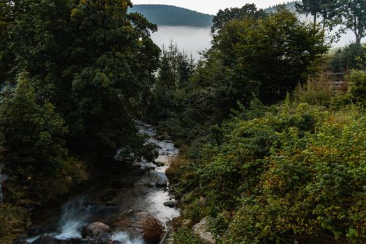 Small flowing river in Golden Mountains at morning sunrise seen from bridge 