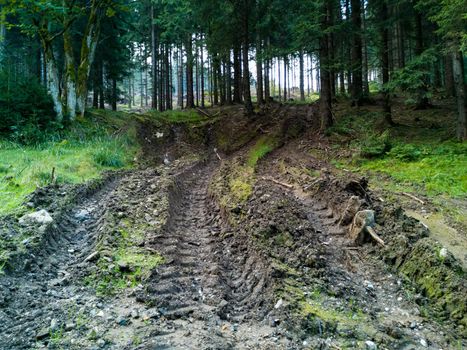 Paths next to mountain trail full of mud made by heavy vehicle