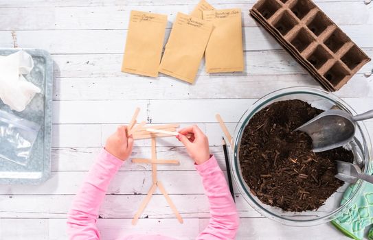 Flat lay. Planting seeds into peat moss pots to start an indoor vegetable garden.