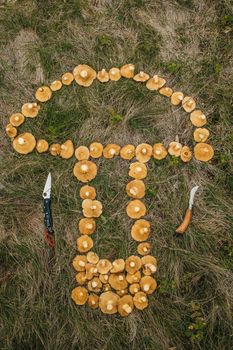 Mushroom pickers collected big harvest of Jack Fungi, laid it out in mushroom shape on grass. Knives nearby. Conspiracy, secret symbol sign. High quality photo