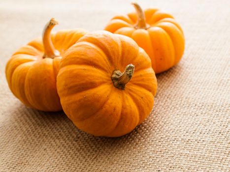 Small orange pumpkins on burlap fabric.