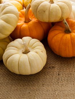 Small orange and white pumpkins on burlap fabric.