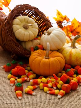 Small multi-color pumpkins and Halloween candies spilled from cornucopia.