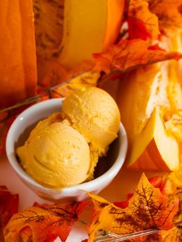 Scoop of gourmet pumpkin gelato in white bowl.