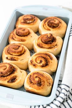 Freshly baked cinnamon rolls in a blue baking pan.