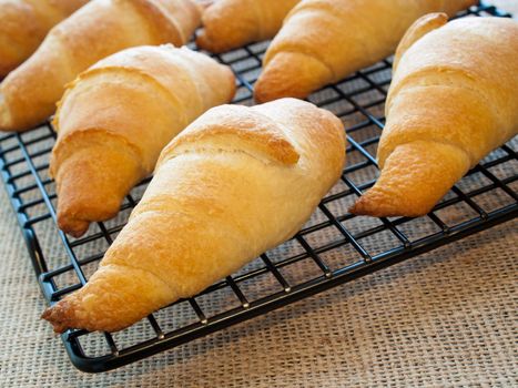 Baking small croissants for breakfast.