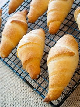 Baking small croissants for breakfast.