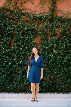 Young woman in a blue dress stands near a wall covered with green ivy. High quality photo