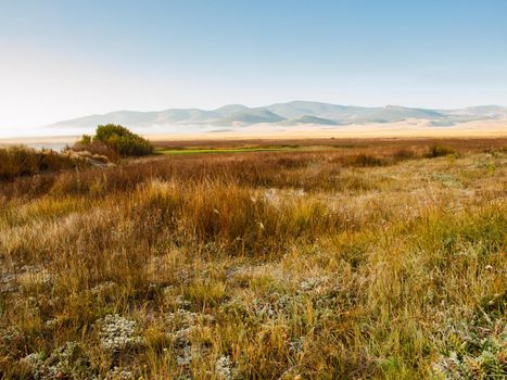 Early morning on the prairie in late Autumn.
