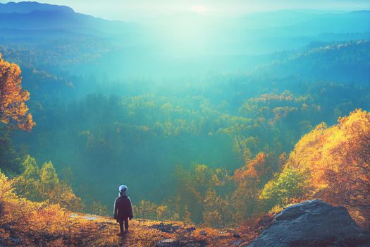 Intrepid traveler stands on cliff overlooking light autumn forest and  majestic light blue mountain range. 3D Render digital art.