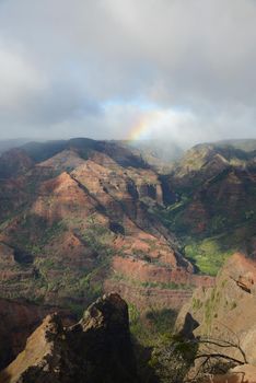 waimea canyon in kauai, hawaii