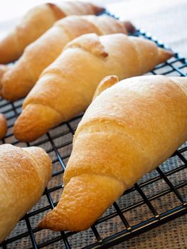 Baking small croissants for breakfast.