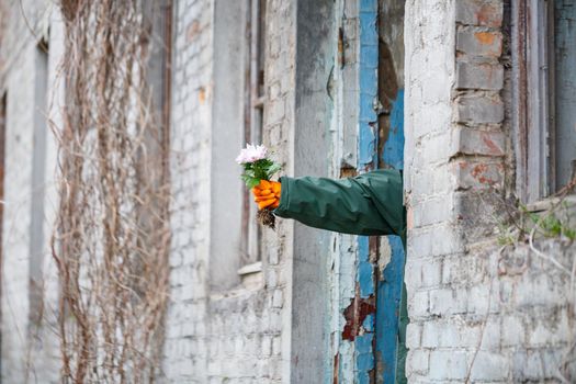 A man in a raincoat and gas mask collects a flower from a scorched, poisonous earth. Air pollution concept. Ecological catastrophy.