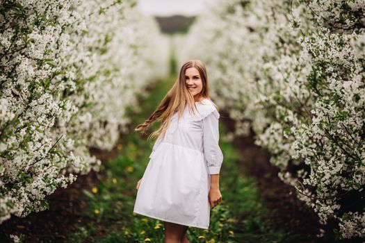 Beautiful young woman near blooming white tree in spring park. A woman in a white dress stands among the flowers on an apple tree. spring season concept
