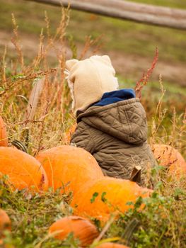 Little kid picking pumpkin at the pumpkin patch in early Autumn.