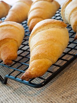 Baking small croissants for breakfast.