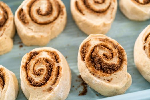 Unbaked cinnamon rolls in a blue baking pan.