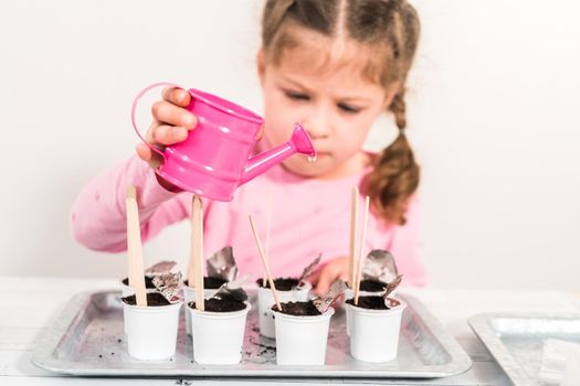 Little girl planting seeds into coffee pods to start an indoor vegetable garden.