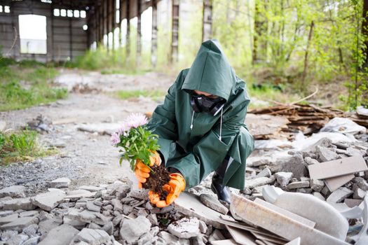 A man in a raincoat and gas mask collects a flower from a scorched, toxic land. Air pollution concept. Ecological catastrophy.