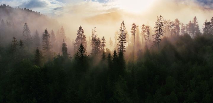 Majestic landscape with forest on hills and amazing sky