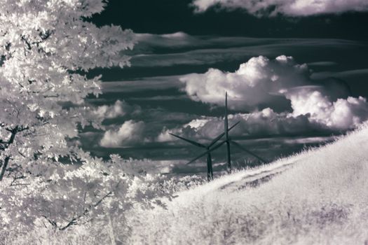 Infrared wavelength photograph of windmills contrast against a cloudy sky, with white trees and hills in foreground. Shot in summer in Northumberlandia, England, UK.