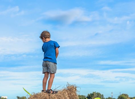 Back view Boy stand on haystack bales hay, turned away offended sad loneliness. Clear blue sky sun day. Outdoor kid children summer leisure activities. Concept childhood care countryside air nature.