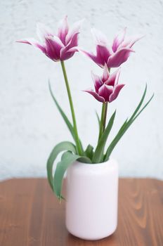 Delicate pink tulips in a vase, spring still life, minimalist, floral background. High quality photo