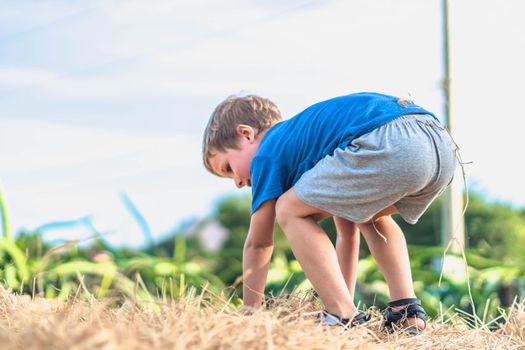 Boy blue t-shirt smile play climbs on down haystack bales of dry hay, clear sky sunny day. Outdoor kid children summer leisure activities. Concept happy childhood countryside, air close to nature.