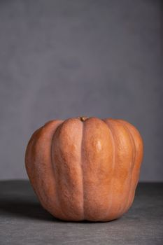 Ripe beautiful pumpkin on a gray background. Vertical orientation. Selective focus.