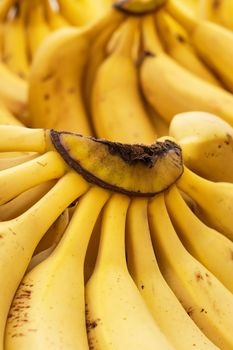 Bunch of ripened bananas at grocery store at a local market