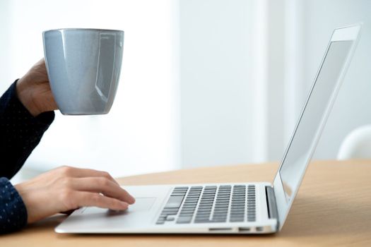 Close up of female hands working using laptop and holding cup. Selective focus on hands. Blurred background. Copy space. Working concept.