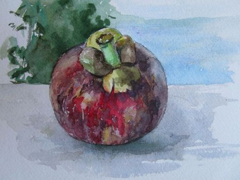 Mangosteen from Thailand, watercolor painting. High quality illustration