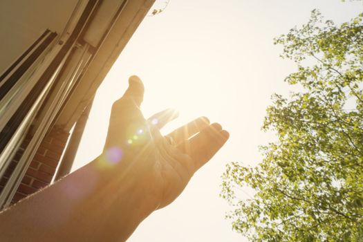 Freedom touching the sun light with a hand.