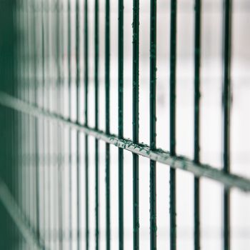 Metal fence with frozen water in winter. An icy barrier on a light background. Green fencing. Close-up.