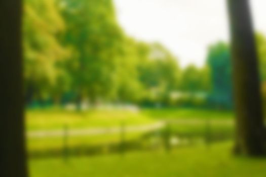 Blur natural and light background in the park. Abstract blur image of Green garden on day time with bokeh for background usage. Bokeh light yellow green abstract backgrounds textures. High quality photo