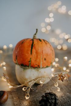 Pumpkin and nuts. Yellow lanterns. Bokeh. Thanksgiving Day. Festive composition.