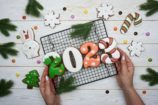 Women's hands hold a lattice with New Year gingerbread