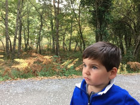 Portrait of cute little boy with blue eyes and big checks looking carefully in nature.