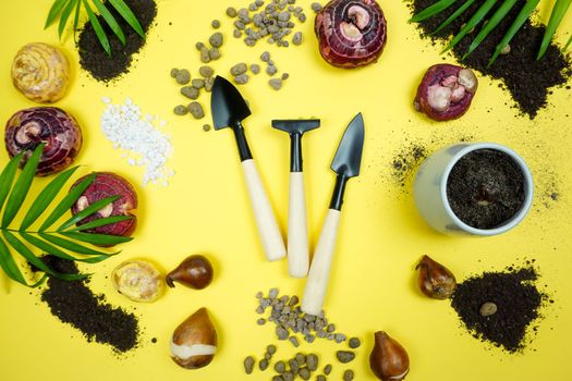 Spring planting works at home. A garden tool for planting bulbous plants is laid out on a yellow background, earth, sand and expanded clay are scattered. Spring flatley.