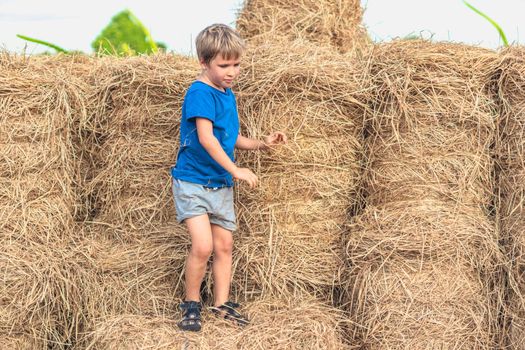 Boy blue t-shirt smile play climbs on down haystack bales of dry hay, clear sky sunny day. Outdoor kid children summer leisure activities. Concept happy childhood countryside, air close to nature.