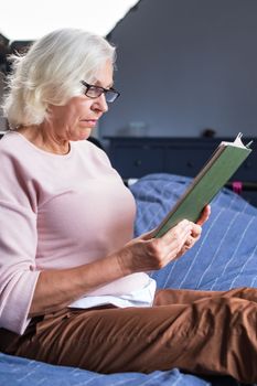 Calm senior woman reading a book while sitting in the living room. Hobby at old age