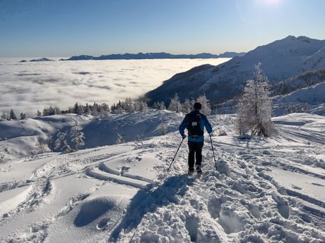 winter hikers climbing uphill trees covered with snow. High quality photo