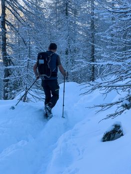 winter hikers climbing uphill trees covered with snow. High quality photo