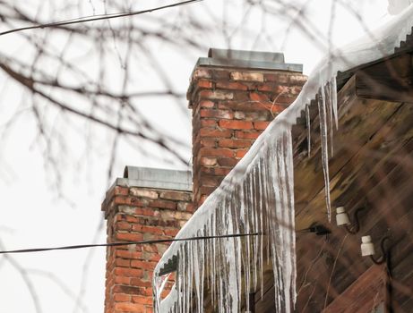 Dangerous icicles hang on the edge of the roof, winter or spring. Log wall of an old wooden house with windows. Large cascades of icicles in smooth, beautiful rows. Cloudy winter day, soft light.