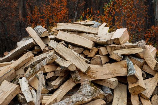 Chopped firewood for heating lies in a pile among the trees in late autumn. Selective focus.