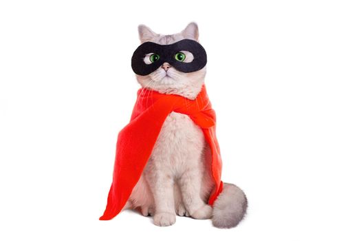 Cute white cat with green eyes, in a red cape and black mask, sits on white background, looks away. Copy space